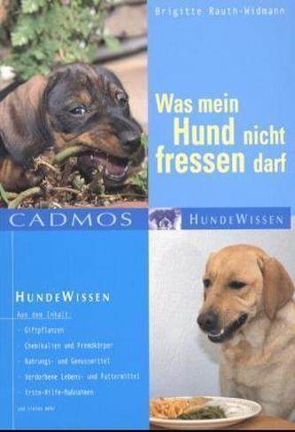 Was mein Hund nicht fressen darf