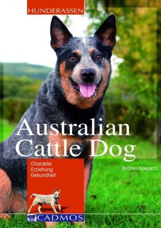 Australian Cattle Dog