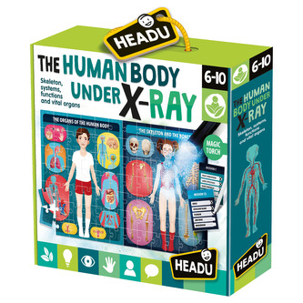 HEADU: Lidské tělo pod rentgenem - anglicky