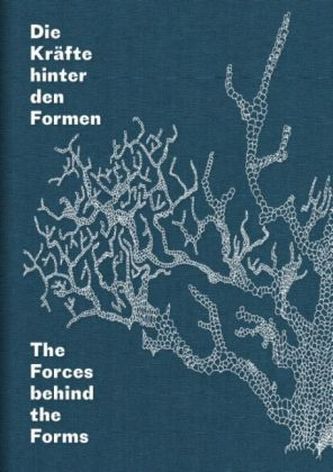 Die Kräfte hinter den Formen