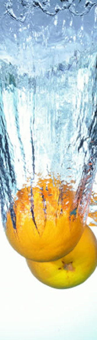 Záložka - Fruits in Motion