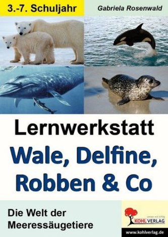 Lernwerkstatt Wale, Delfine, Robben & Co.