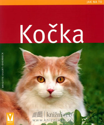 Kočka