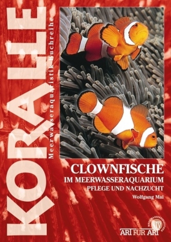 Clownfische im Meewasseraquarium