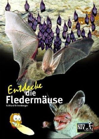 Entdecke die Fledermäuse Entdecke die Fledermäuse