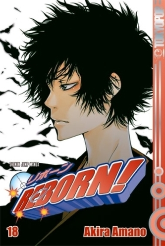 Reborn! - Version V. R.