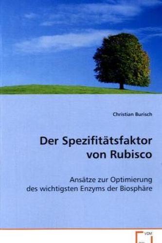 Der Spezifitätsfaktor von Rubisco
