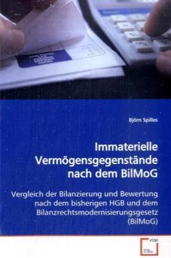 Immaterielle Vermögensgegenstände nach dem BilMoG