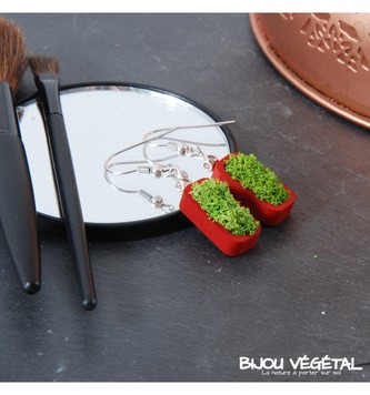 Živé šperky - Náušnice Vertigo červené s lišejníkem