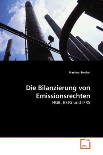 Die Bilanzierung von Emissionsrechten