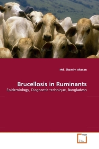 Brucellosis in Ruminants
