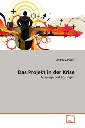 Das Projekt in der Krise