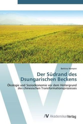 Der Südrand des Dsungarischen Beckens