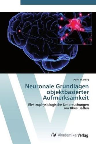 Neuronale Grundlagen objektbasierter Aufmerksamkeit