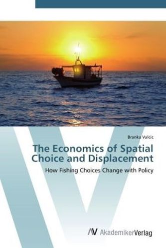 The Economics of Spatial Choice and Displacement