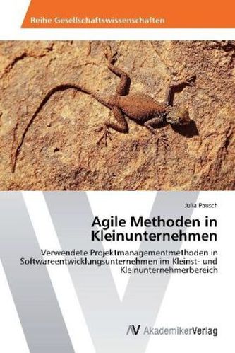 Agile Methoden in Kleinunternehmen