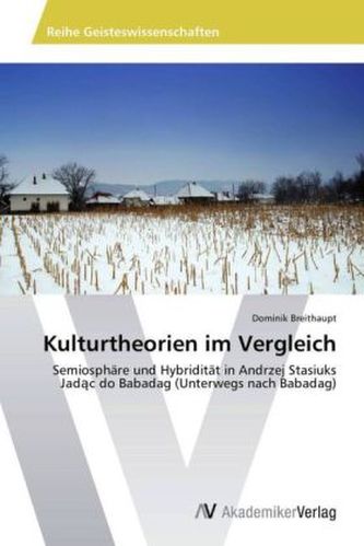 Kulturtheorien im Vergleich