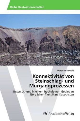 Konnektivität von Steinschlag- und Murgangprozessen