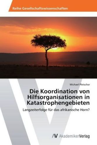 Die Koordination von Hilfsorganisationen in Katastrophengebieten