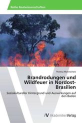 Brandrodungen und Wildfeuer in Nordost-Brasilien