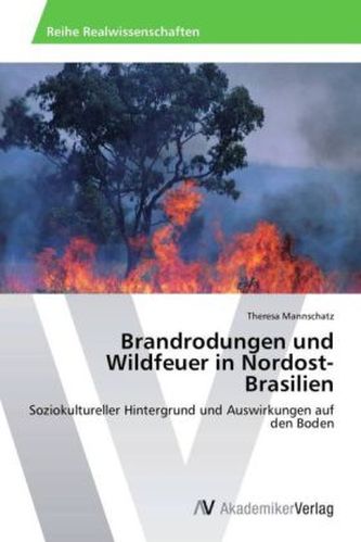Brandrodungen und Wildfeuer in Nordost-Brasilien