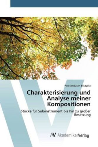 Charakterisierung und Analyse meiner Kompositionen