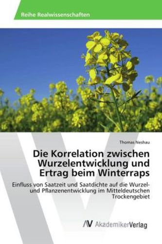 Die Korrelation zwischen Wurzelentwicklung und Ertrag beim Winterraps