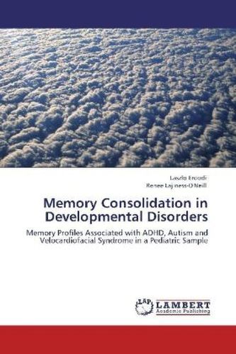 Memory Consolidation in Developmental Disorders