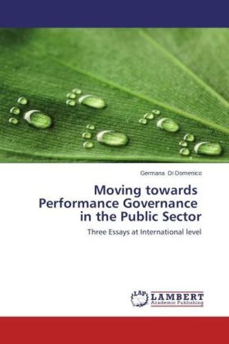 Moving towards Performance Governance in the Public Sector
