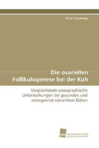 Die ovariellen Follikulogenese bei der Kuh