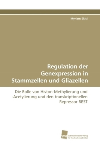 Regulation der Genexpression in Stammzellen und Gliazellen
