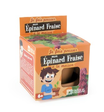 Mini zahrádka - Veselý květináč - Jahodový špenát