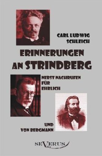 Erinnerungen an Strindberg nebst Nachrufen für Ehrlich und von Bergmann
