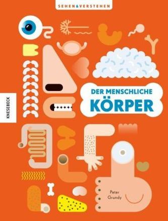 Der menschliche Körper