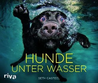 Hunde unter Wasser