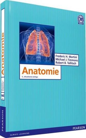 Anatomie Anatomie