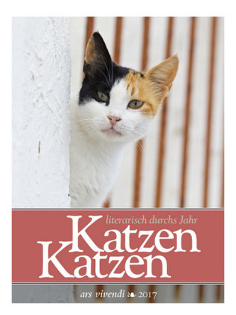 Katzen Katzen 2017