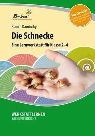 Die Schnecke, m. CD-ROM