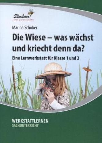 Die Wiese - was wächst und kriecht denn da?