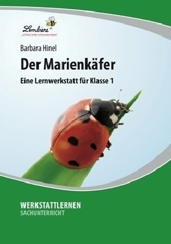 Der Marienkäfer
