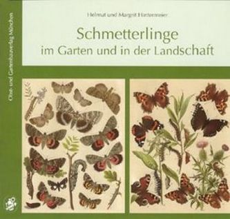 Schmetterlinge im Garten und in der Landschaft