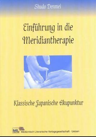 Einführung in die Meridiantherapie