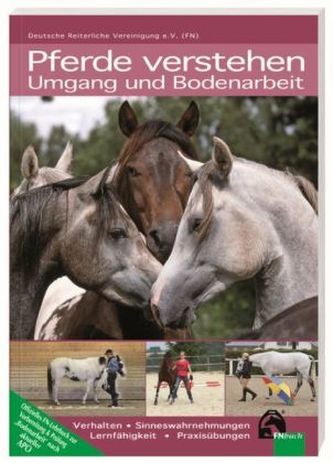 Pferde verstehen - Umgang und Bodenarbeit