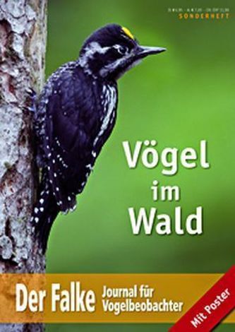 Vögel im Wald