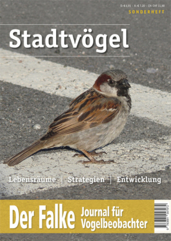 Stadtvögel