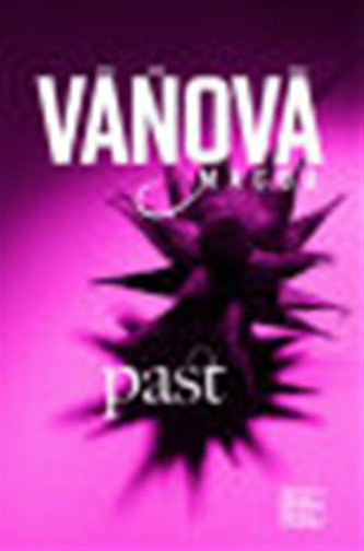 Past (Magda Váňová, 2008)