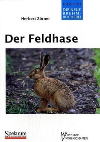 Der Feldhase