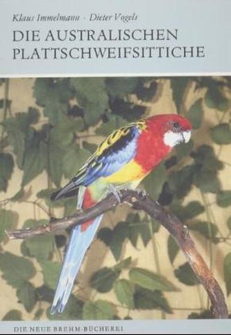 Die australischen Plattschweifsittiche
