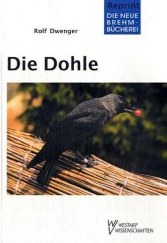 Die Dohle