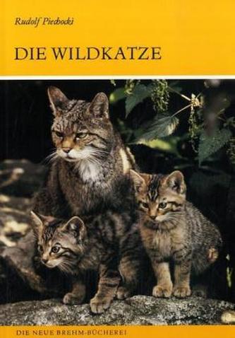 Die Wildkatze